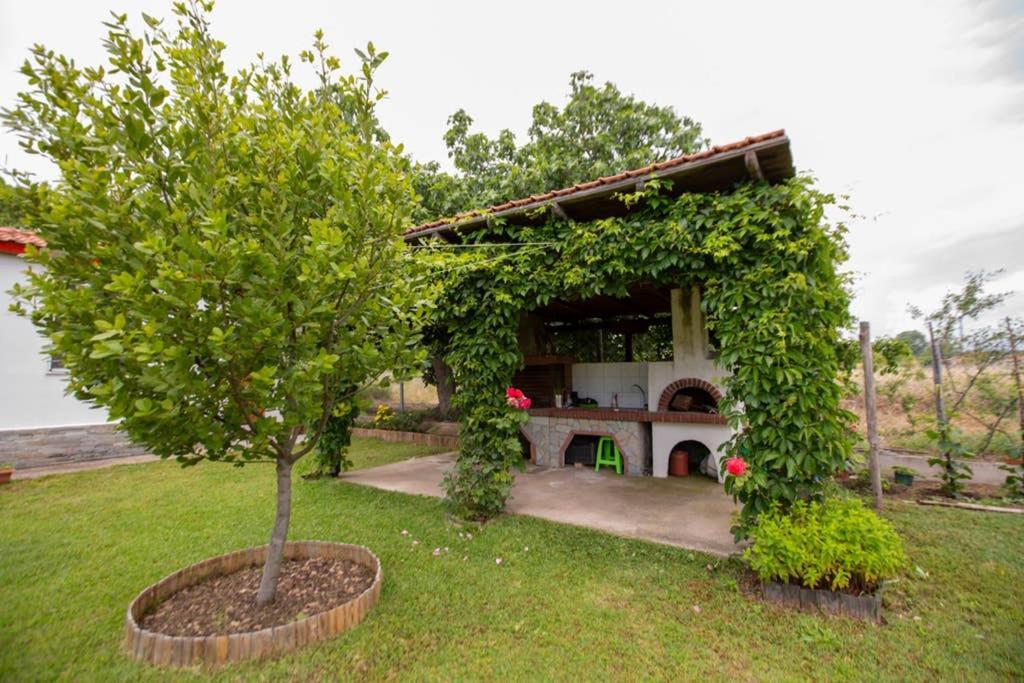 Agrampeli Villa อิเอริสโซส ภายนอก รูปภาพ